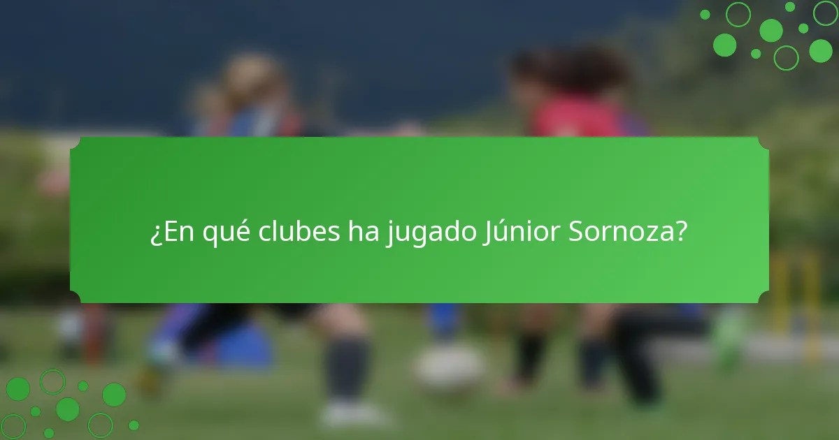 ¿En qué clubes ha jugado Júnior Sornoza?